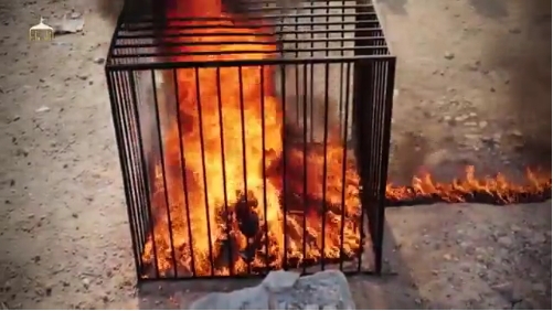 Jordanian pilot Muath al-Kaseasbeh